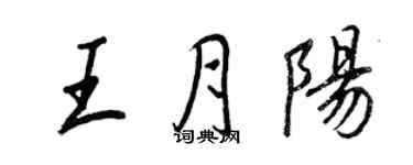 王正良王月阳行书个性签名怎么写