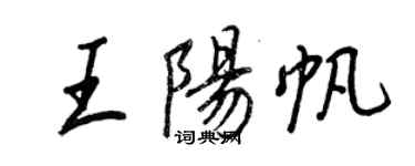 王正良王阳帆行书个性签名怎么写