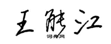 王正良王能江行书个性签名怎么写