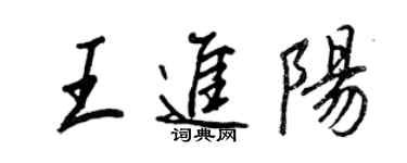 王正良王进阳行书个性签名怎么写