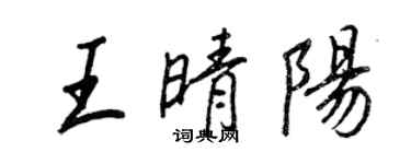 王正良王晴阳行书个性签名怎么写