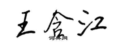 王正良王含江行书个性签名怎么写
