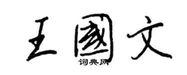 王正良王国文行书个性签名怎么写