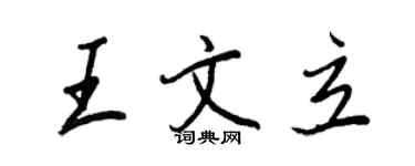 王正良王文立行书个性签名怎么写