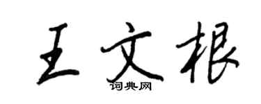 王正良王文根行书个性签名怎么写