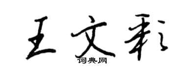 王正良王文彩行书个性签名怎么写