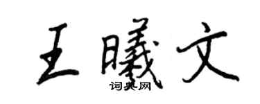 王正良王曦文行书个性签名怎么写
