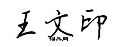王正良王文印行书个性签名怎么写