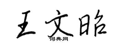 王正良王文昭行书个性签名怎么写