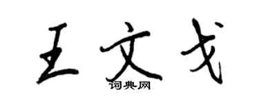 王正良王文戈行书个性签名怎么写