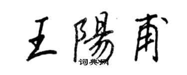 王正良王阳甫行书个性签名怎么写