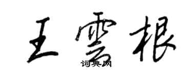 王正良王云根行书个性签名怎么写