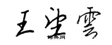 王正良王望云行书个性签名怎么写
