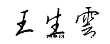 王正良王生云行书个性签名怎么写