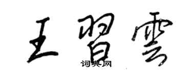 王正良王习云行书个性签名怎么写