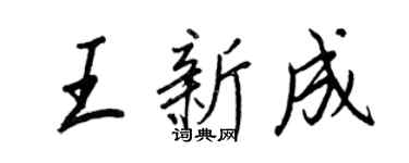 王正良王新成行书个性签名怎么写