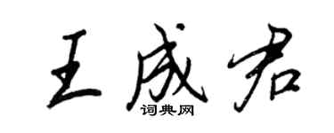 王正良王成君行书个性签名怎么写