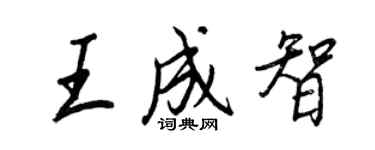 王正良王成智行书个性签名怎么写