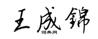 王正良王成锦行书个性签名怎么写
