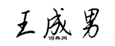 王正良王成男行书个性签名怎么写