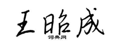 王正良王昭成行书个性签名怎么写