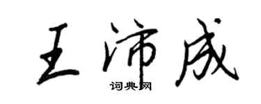王正良王沛成行书个性签名怎么写