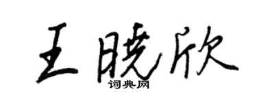 王正良王晓欣行书个性签名怎么写