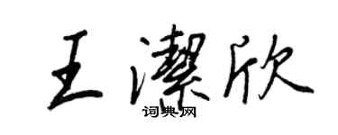 王正良王洁欣行书个性签名怎么写