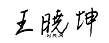 王正良王晓坤行书个性签名怎么写