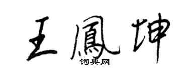 王正良王凤坤行书个性签名怎么写
