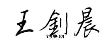 王正良王剑晨行书个性签名怎么写