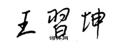 王正良王习坤行书个性签名怎么写