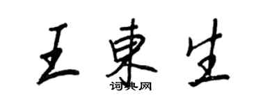 王正良王东生行书个性签名怎么写