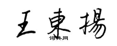 王正良王东扬行书个性签名怎么写