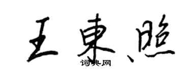 王正良王东照行书个性签名怎么写