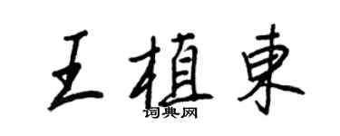王正良王植东行书个性签名怎么写