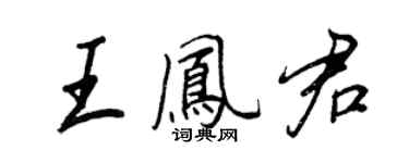 王正良王凤君行书个性签名怎么写