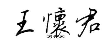 王正良王怀君行书个性签名怎么写