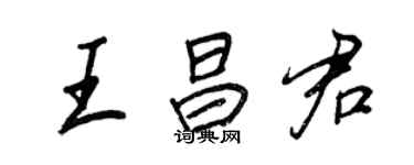 王正良王昌君行书个性签名怎么写