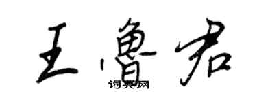 王正良王鲁君行书个性签名怎么写