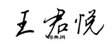 王正良王君悦行书个性签名怎么写