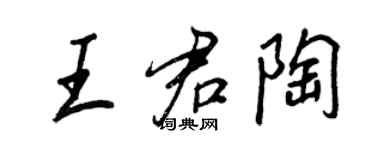 王正良王君陶行书个性签名怎么写