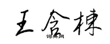 王正良王含栋行书个性签名怎么写
