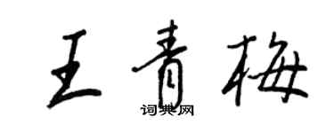王正良王青梅行书个性签名怎么写