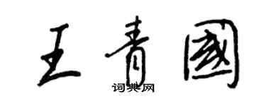 王正良王青国行书个性签名怎么写