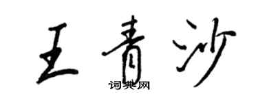 王正良王青沙行书个性签名怎么写