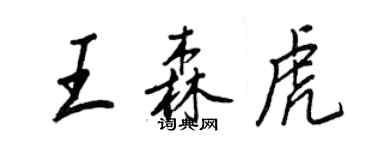 王正良王森虎行书个性签名怎么写