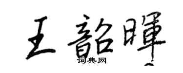 王正良王韶晖行书个性签名怎么写
