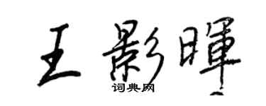 王正良王影晖行书个性签名怎么写