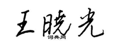 王正良王晓光行书个性签名怎么写